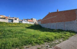 Bufali, Valencian Community 46891