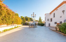 orrius, Catalonia 08317