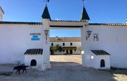 Rute, Andalusia 14960