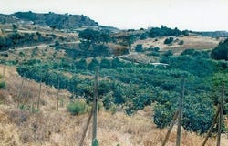 Estepona, Andalucía