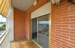 Elche/Elx, Valencian Community