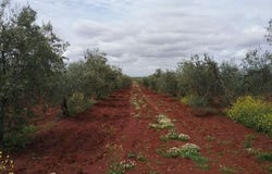 Badajoz, Extremadura