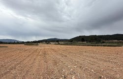 Culebrón, Valencia 03658
