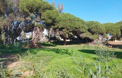 Elviria, Andalusia 29600