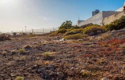 Arico, Canary Islands 38260