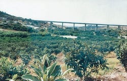 Estepona, Andalucía