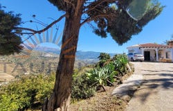 Sayalonga, Andalusia 29752