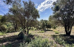 Sotogrande, San Roque, Cadiz