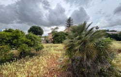 Pedreguer, Valencian Community 03750