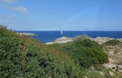 Cala D'or, Balearic Islands 07660