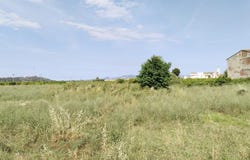 Càrcer, Valencian Community