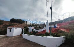 Santa Maria De Guia, Canary Islands 35457