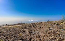 Guía de Isora, Canary Islands 38688