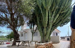 Ibiza, Balearic Islands 0780