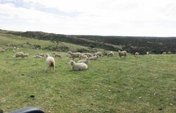 Valverde del Camino, Andalusia 21600