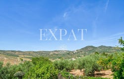 Periana, Andalusia 29710