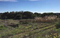Sotogrande, Andalusia 11310