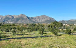 Benidoleig, Valencian Community 3759