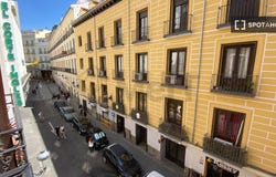 madrid, Community of Madrid 28013