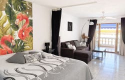 Arona, Canary Islands 38640