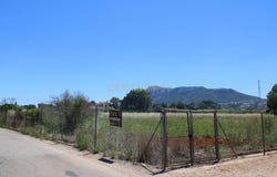 Dénia, Valencian Community