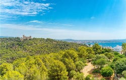 Palma, Balearic Islands 07015
