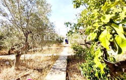 Ciudad Quesada, Valencian Community 03170