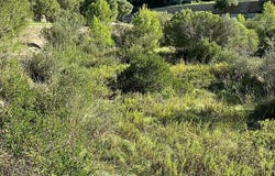 Puigpunyent, Balearic Islands 07195