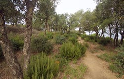 Begur, Catalonia 17255