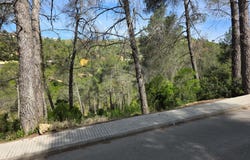 Olesa de Bonesvalls, Catalonia 08795