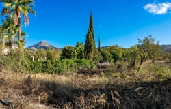 Es Capdella, Balearic Islands 7196