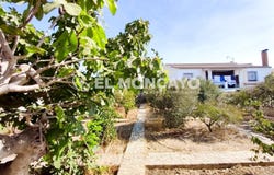 Ciudad Quesada, Valencian Community 03170
