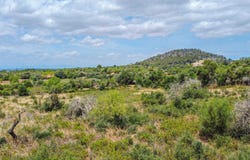 Felanitx, The Balearic Islands 07200
