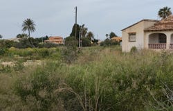 Els Poblets, Valencian Community 03779