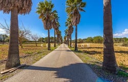 Algaida, Illes Balears|Baleares 07210