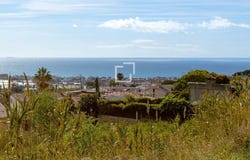 Premia de Dalt, Catalonia 08338