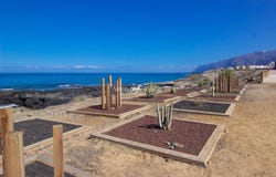 Alcala, Canary Islands 38686