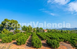 Valencia, Valencian Community