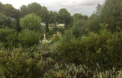 Sotogrande, Andalusia 11310