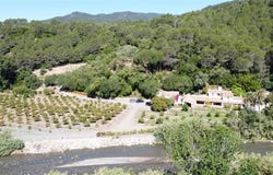 Gaucín, Andalusia 29480