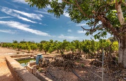 Vila-real, Valencian Community 12540