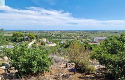 Oliva, Valencian Community 46780