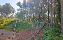 Cervello, Catalonia 08758