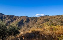Malaga, Malaga, Malaga
