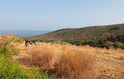 Manilva, Andalucía
