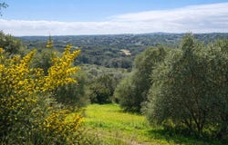 Sotogrande, Andalusia 11310