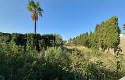 Calpe, Alicante/alacant 03710