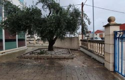 Alzira, Valencian Community