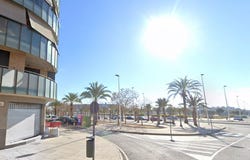 Elche/Elx, Valencian Community