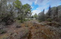 Santa Agnès de Corona, Balearic Islands 07828